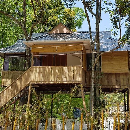 Ponmudi Valley Resorts Esterno foto