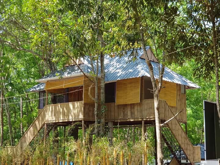 Ponmudi Valley Resorts Esterno foto