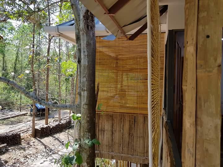 Ponmudi Valley Resorts Esterno foto
