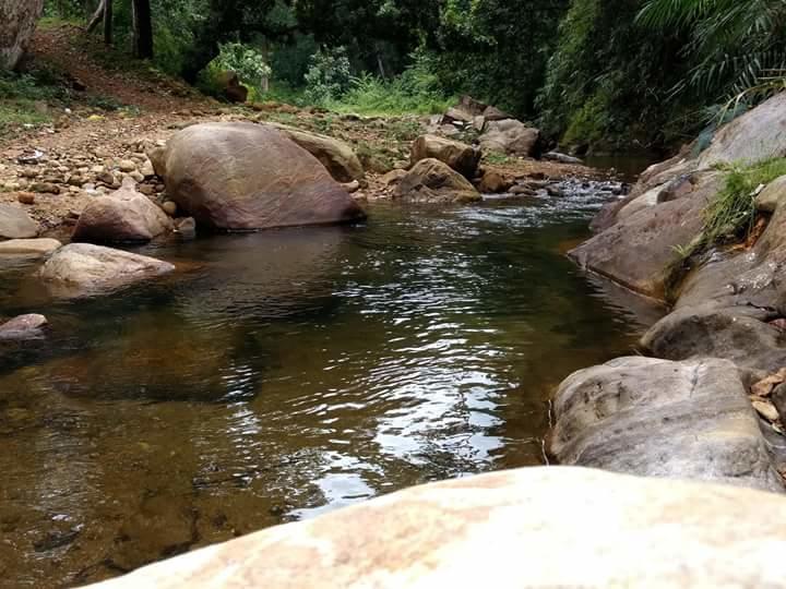 Ponmudi Valley Resorts Esterno foto